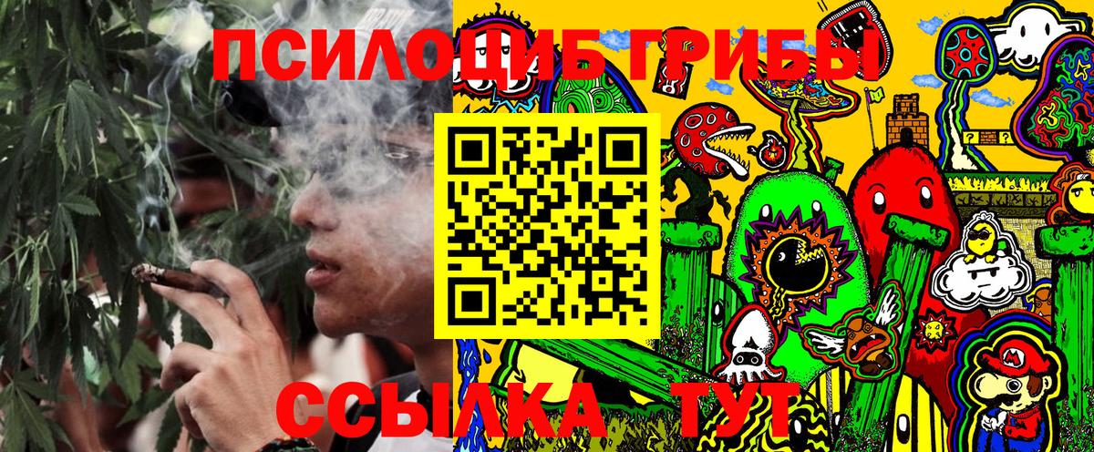 хочу   Галлюциногенные грибы Cubensis  Отрадное  Вход с VPN  Галлюциногенные грибы прущие грибы 